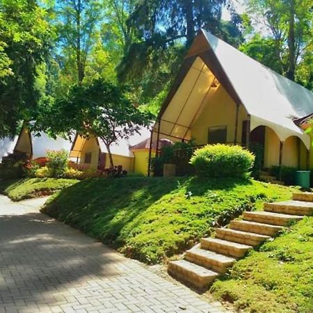 Lawu Forest Camp Sarangan Bagian luar foto