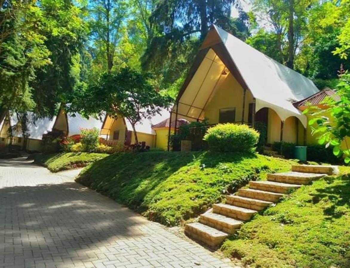 Lawu Forest Camp Sarangan Bagian luar foto