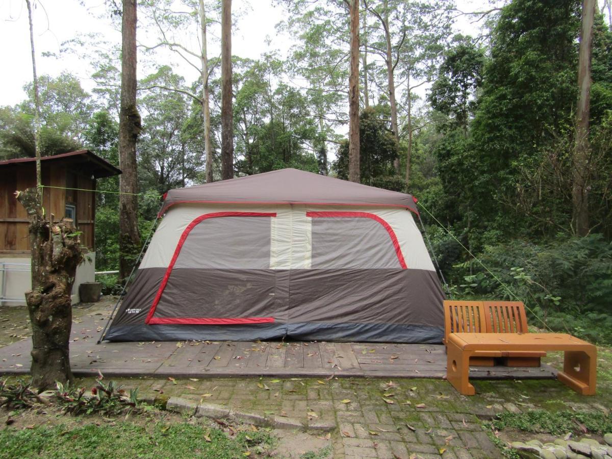 Lawu Forest Camp Sarangan Bagian luar foto