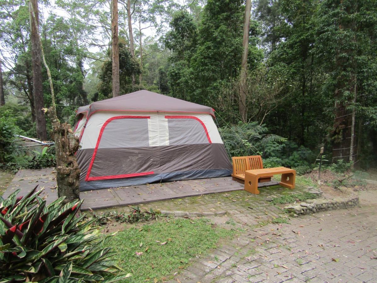 Lawu Forest Camp Sarangan Bagian luar foto