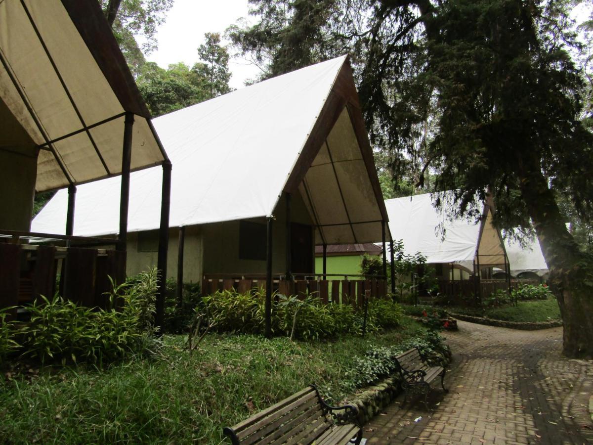 Lawu Forest Camp Sarangan Bagian luar foto