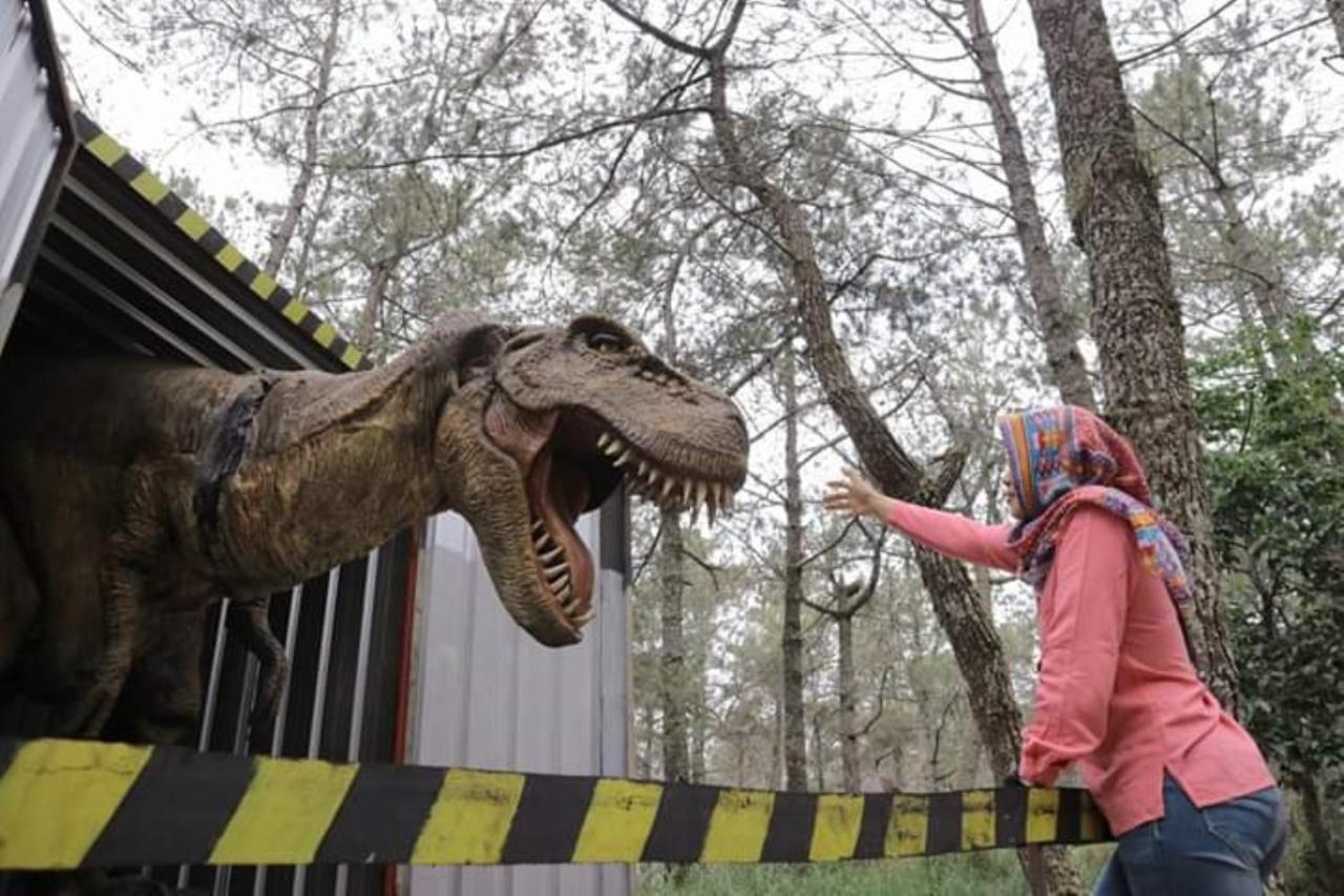 Lawu Forest Camp Sarangan Bagian luar foto