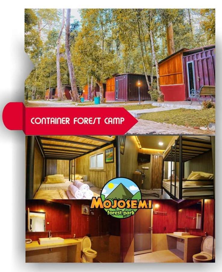 Lawu Forest Camp Sarangan Bagian luar foto