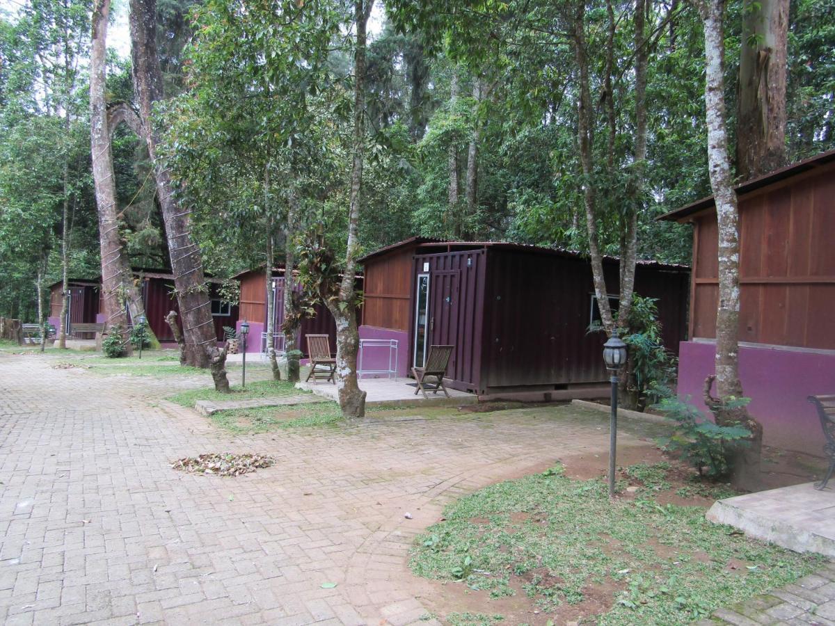 Lawu Forest Camp Sarangan Bagian luar foto