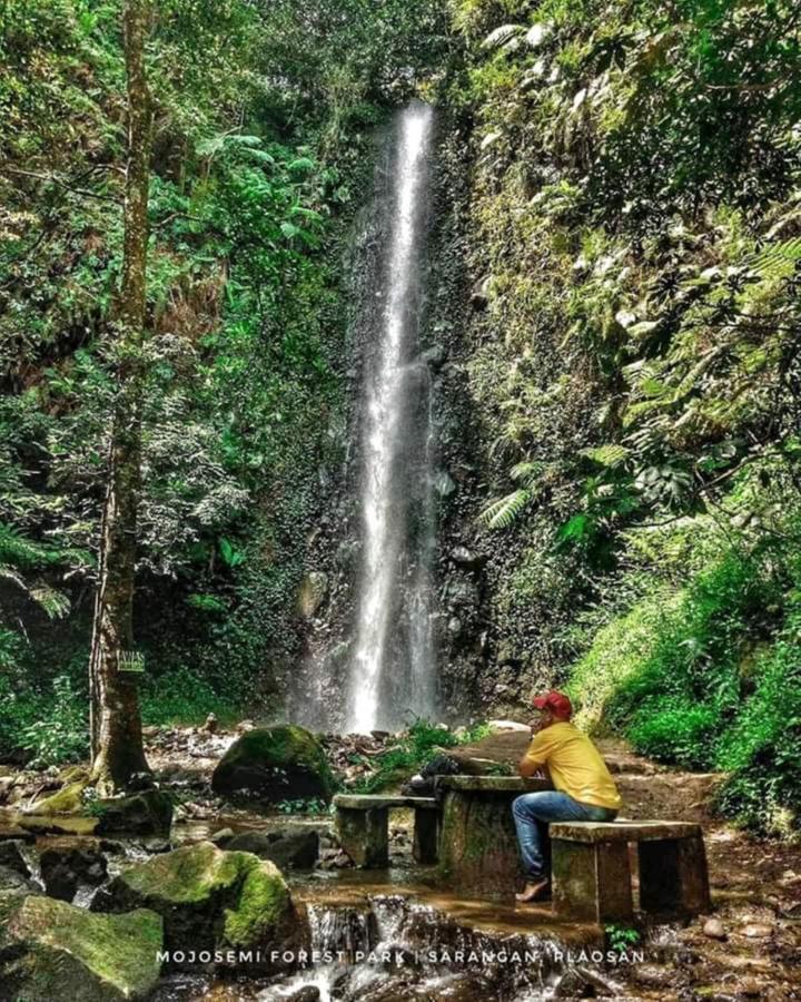 Lawu Forest Camp Sarangan Bagian luar foto